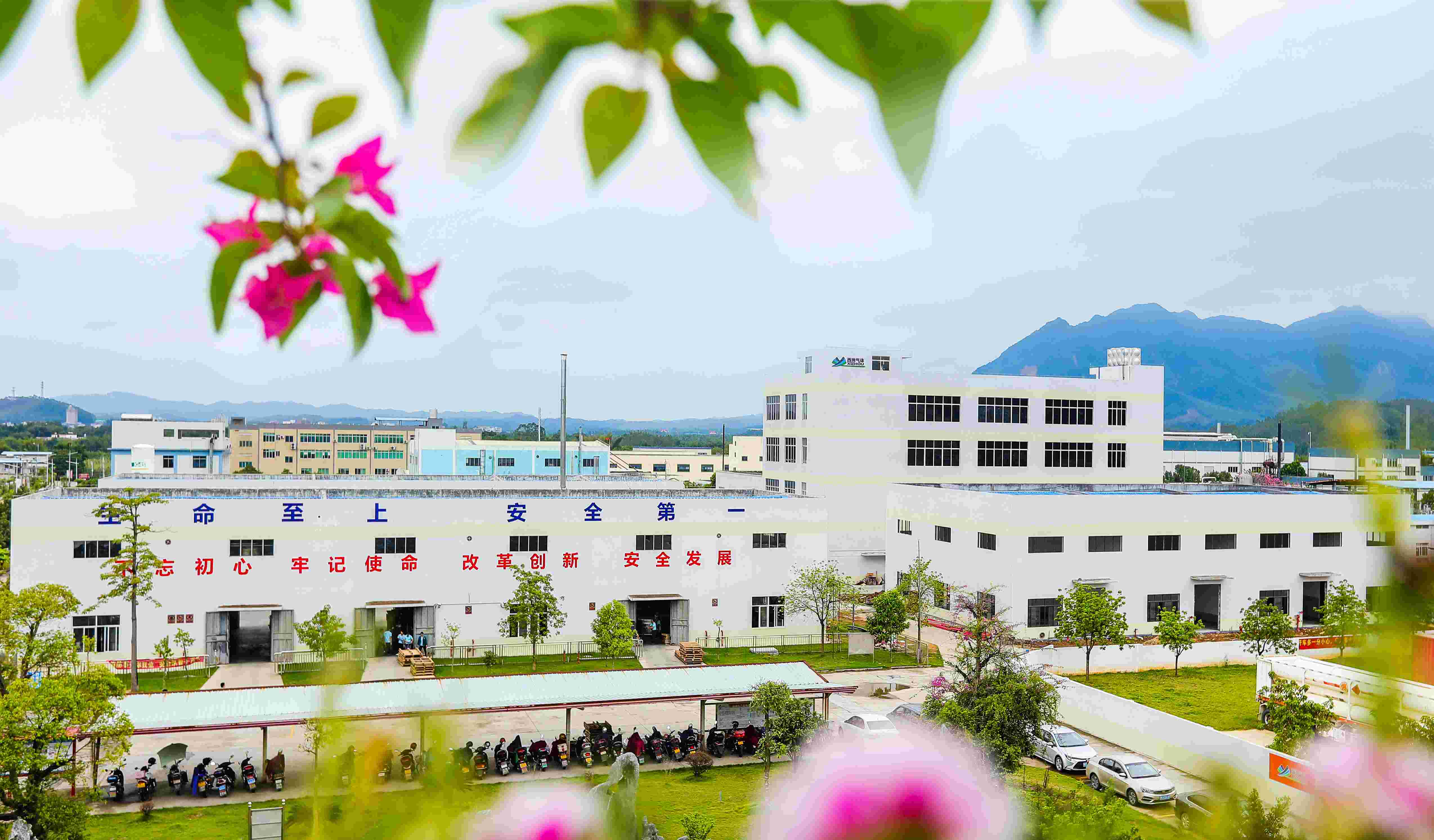 AG��ʱ�������������峧��