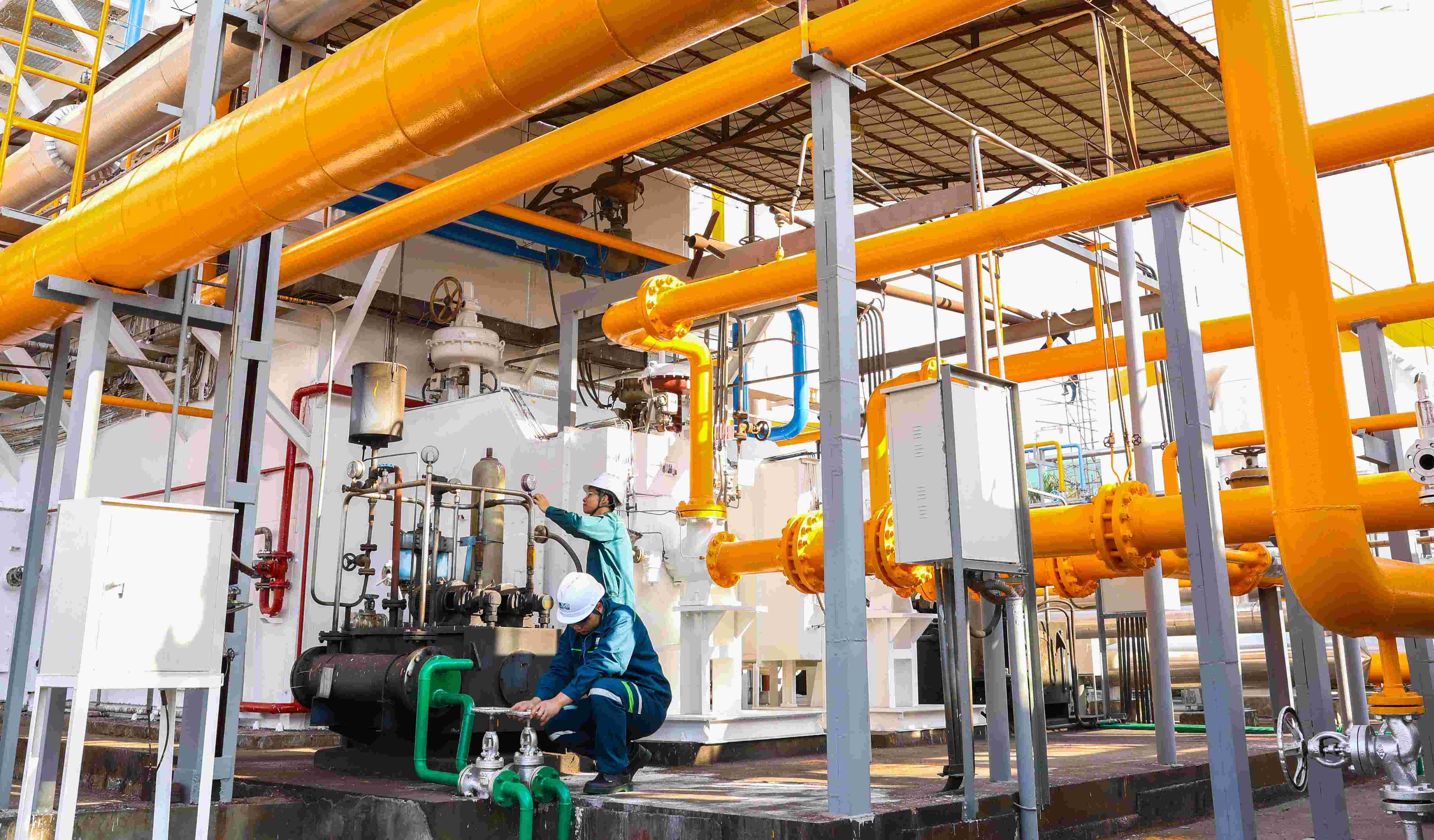 AG��ʱ�������������峧��